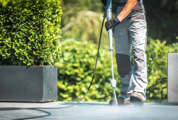 Best Roof Cleaning and Mildew Removal in South Henderson, NC