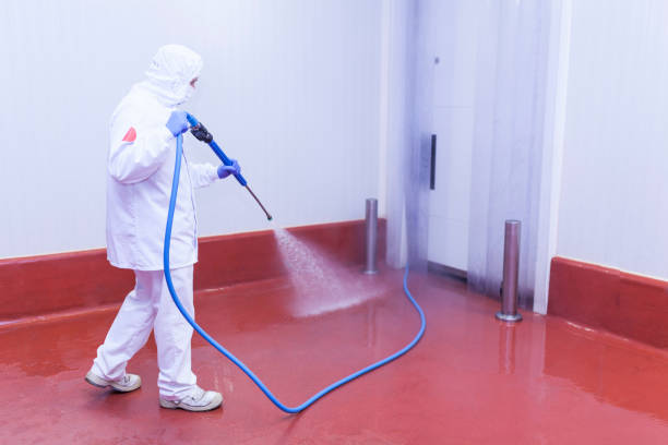 Best Vinyl Siding Pressure Washing in South Henderson, NC