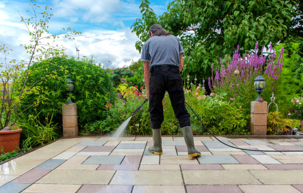 Best Driveway Cleaning and Restoration in South Henderson, NC