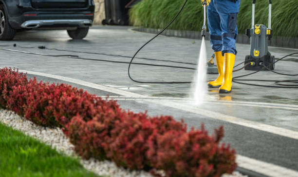 Best Soft Washing for Delicate Surfaces in South Henderson, NC